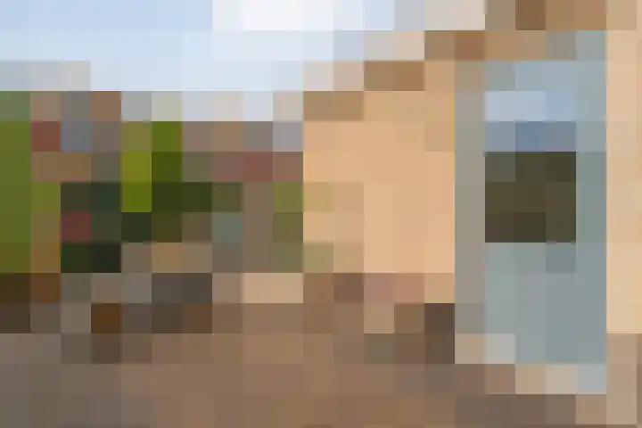 Vechtland 64 Nieuwleusen thumbnail 42