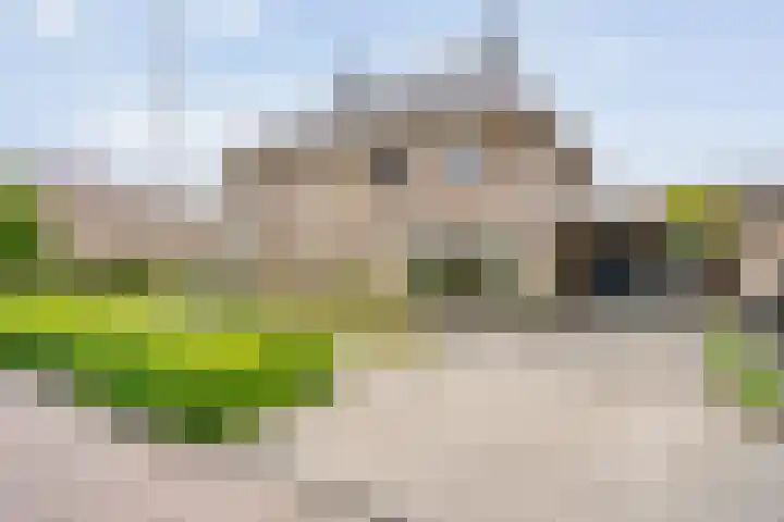 Vechtland 64 Nieuwleusen thumbnail 44