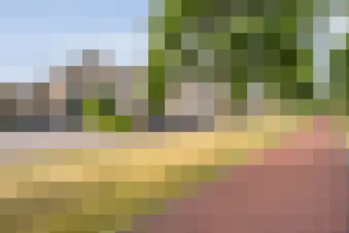 Vechtland 64 Nieuwleusen thumbnail 45