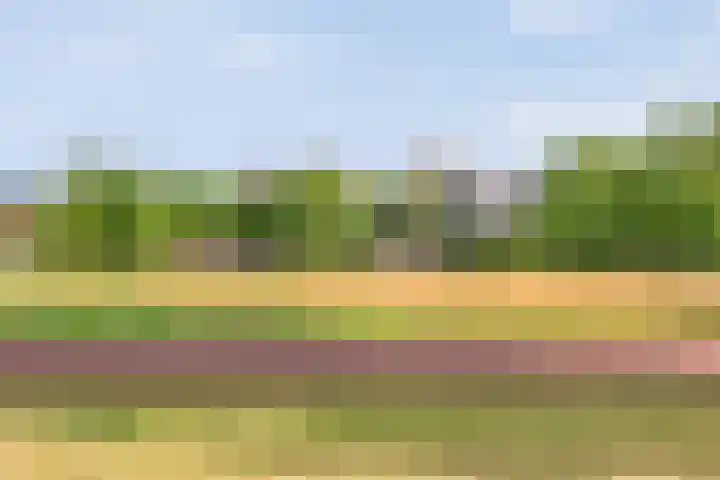 Vechtland 64 Nieuwleusen thumbnail 46
