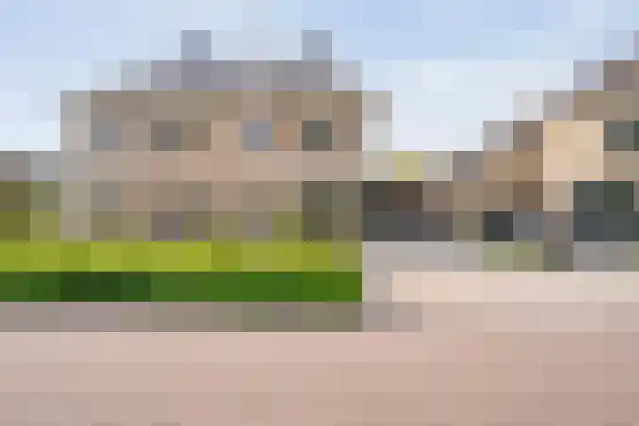 Vechtland 64 Nieuwleusen thumbnail 51