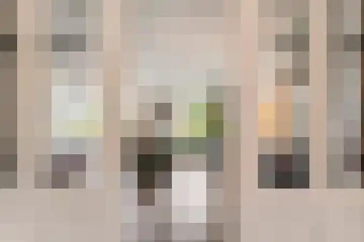 Vechtland 64 Nieuwleusen thumbnail 7
