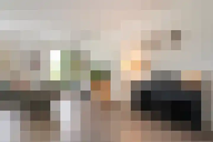 Vechtland 64 Nieuwleusen thumbnail 8