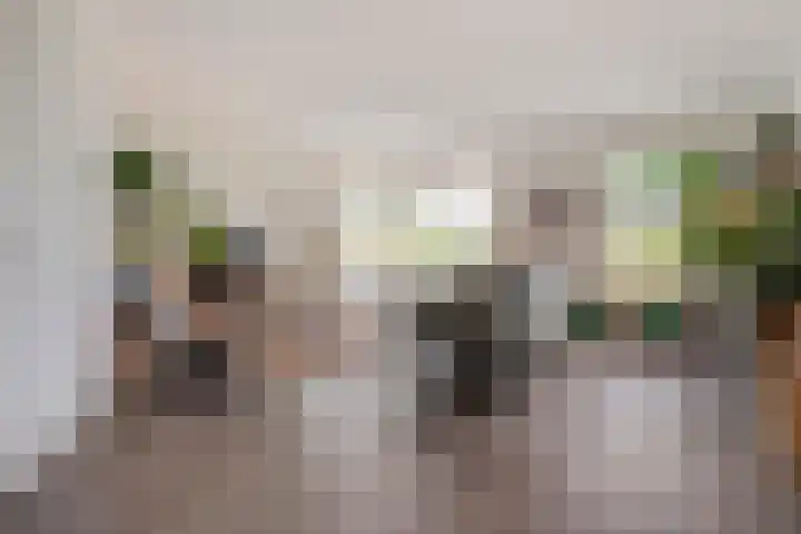 Vechtland 64 Nieuwleusen thumbnail 9