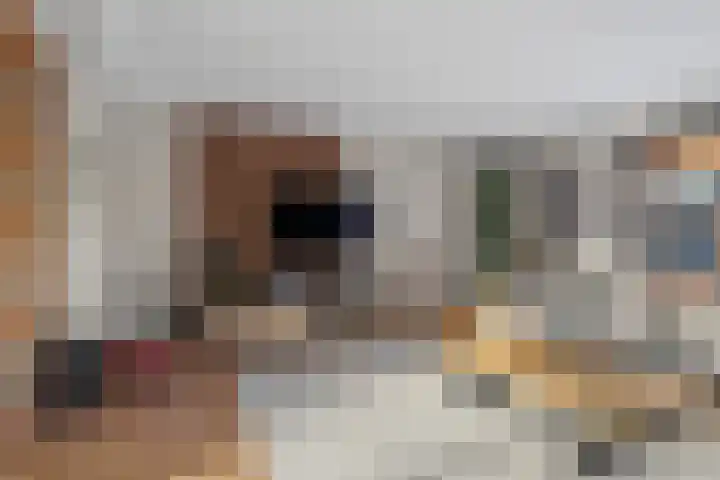 Vechtoever 5 Utrecht thumbnail 25