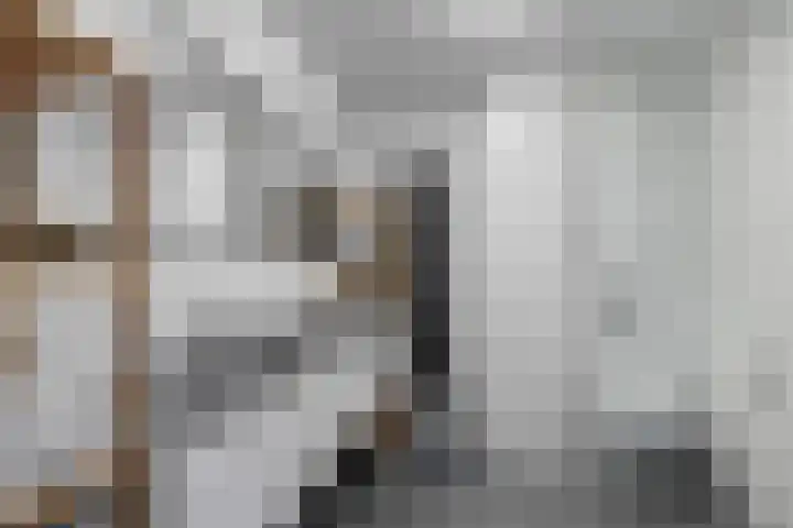 Vechtoever 5 Utrecht thumbnail 52