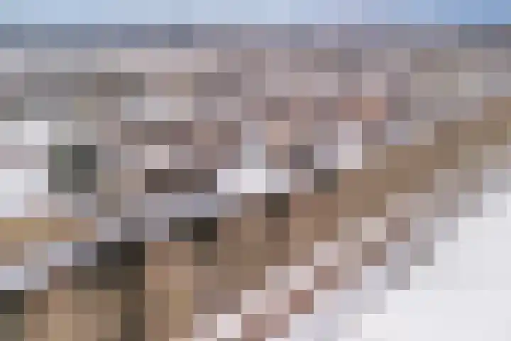 Vechtoever 5 Utrecht thumbnail 65