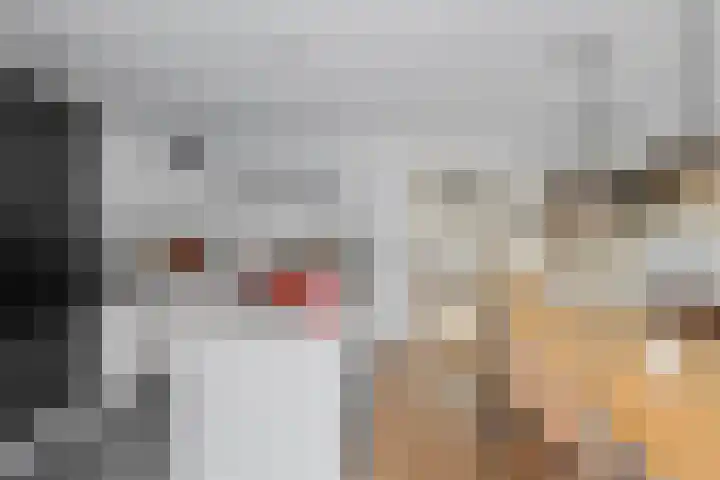 Vechtoever 5 Utrecht thumbnail 9