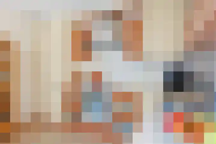 Vechtoever 57 Utrecht thumbnail 21