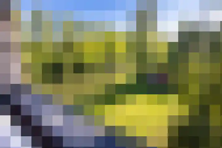 Vechtoever 57 Utrecht thumbnail 39