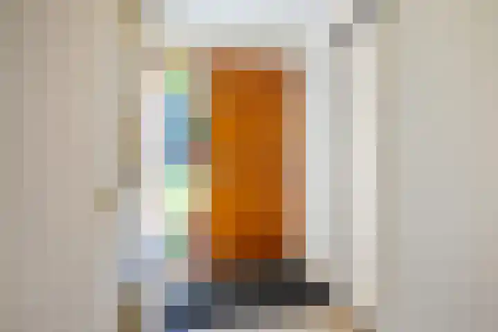 Vechtoever 57 Utrecht thumbnail 4