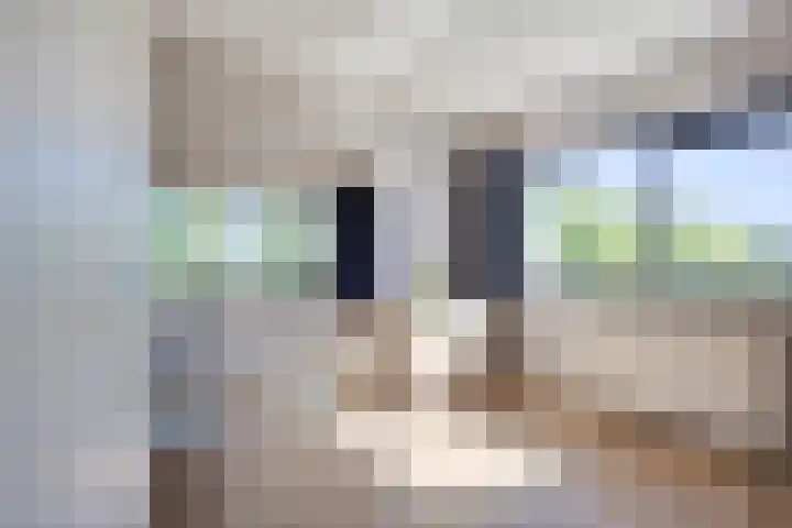 Vechtoever 57 Utrecht thumbnail 40