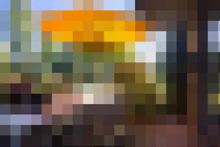 Vechtoever 57 Utrecht thumbnail 45