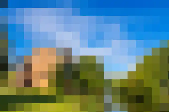 Vechtoever 57 Utrecht thumbnail 48