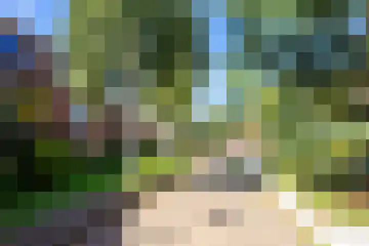 Vechtoever 57 Utrecht thumbnail 49