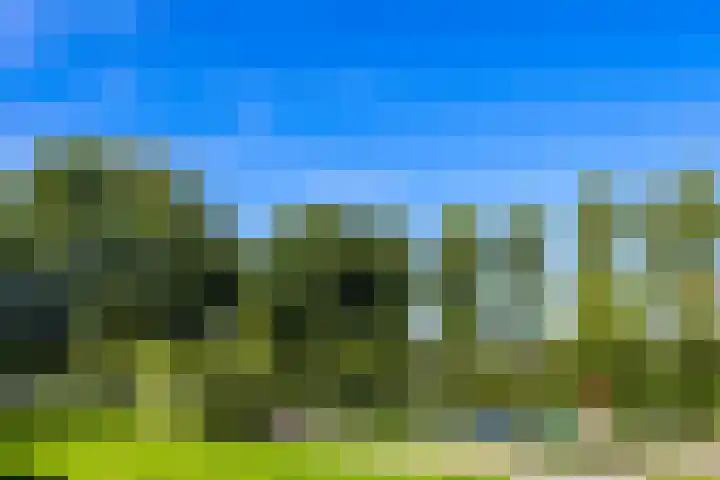 Vechtoever 57 Utrecht thumbnail 50