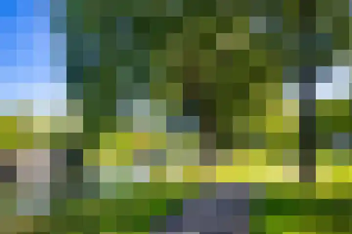 Vechtoever 57 Utrecht thumbnail 51