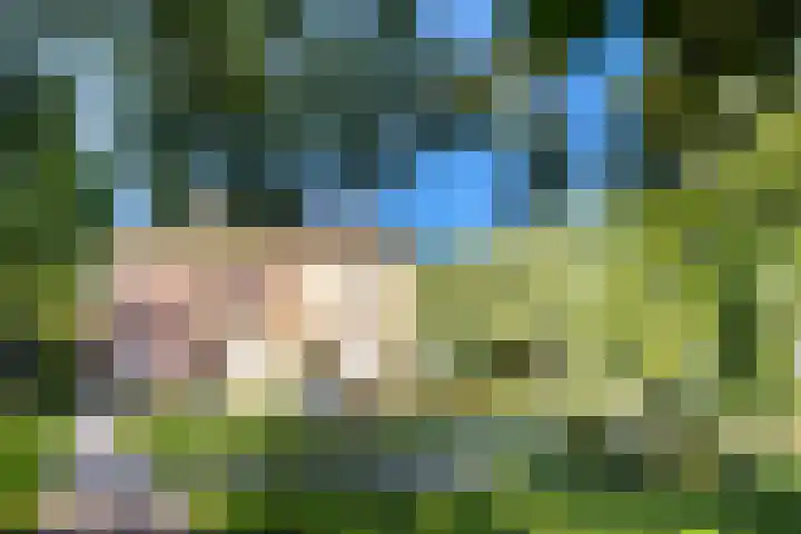 Vechtoever 57 Utrecht thumbnail 52