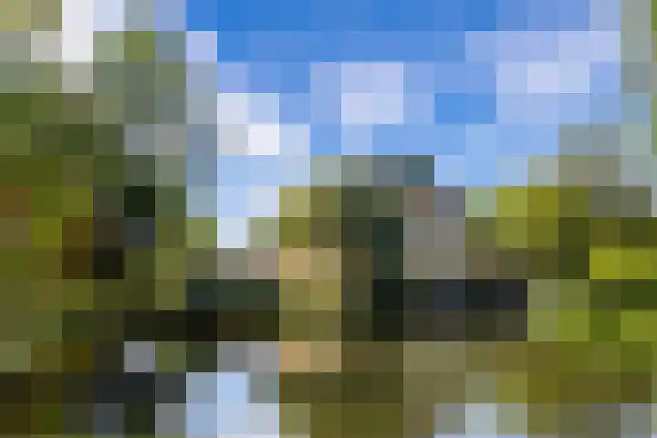 Vechtoever 57 Utrecht thumbnail 53
