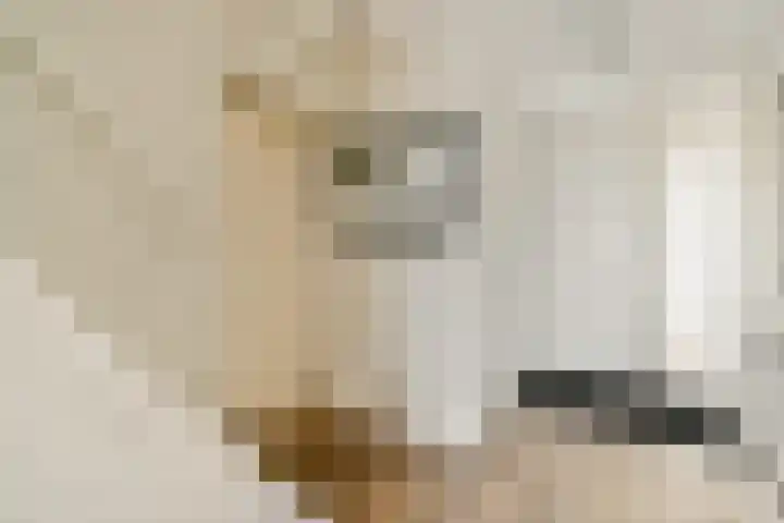 Vechtoever 7 Vreeland thumbnail 15