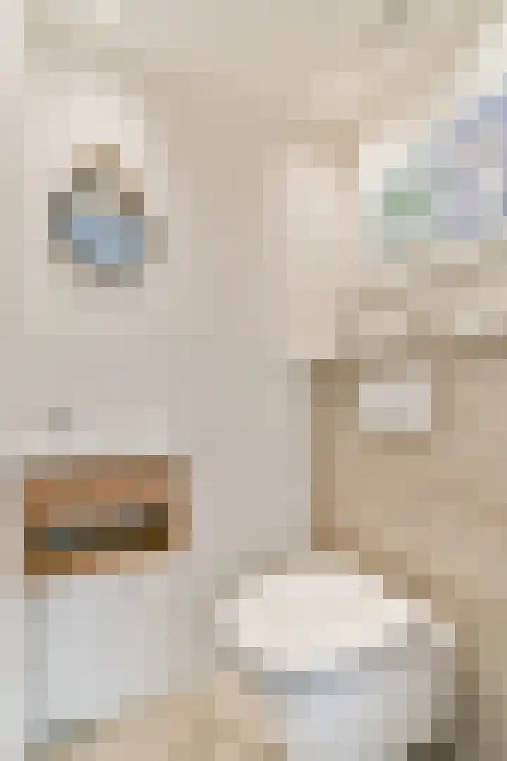 Vechtoever 7 Vreeland thumbnail 16