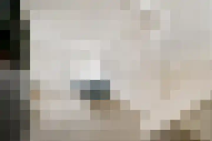 Vechtoever 7 Vreeland thumbnail 18