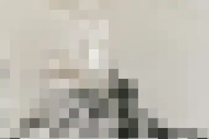 Vechtoever 7 Vreeland thumbnail 19