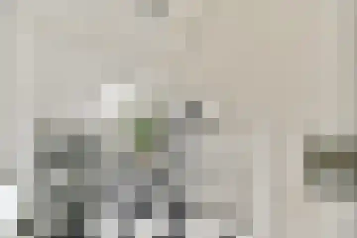 Vechtoever 7 Vreeland thumbnail 20