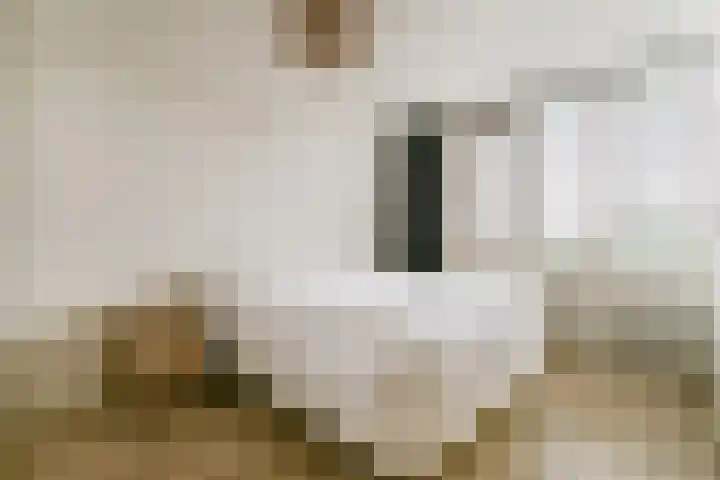 Vechtoever 7 Vreeland thumbnail 21