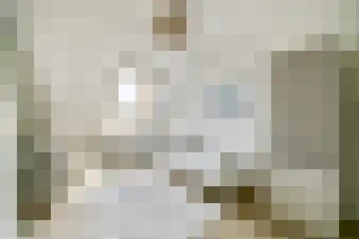 Vechtoever 7 Vreeland thumbnail 22