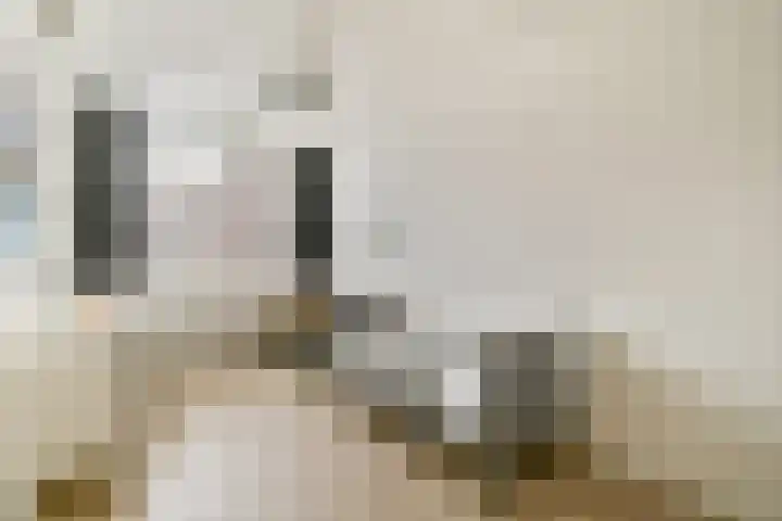 Vechtoever 7 Vreeland thumbnail 25