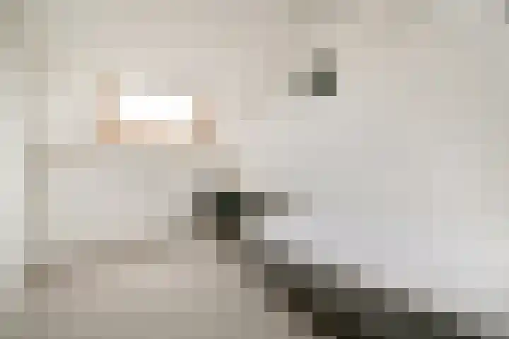 Vechtoever 7 Vreeland thumbnail 26