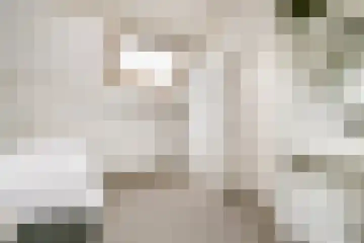 Vechtoever 7 Vreeland thumbnail 27