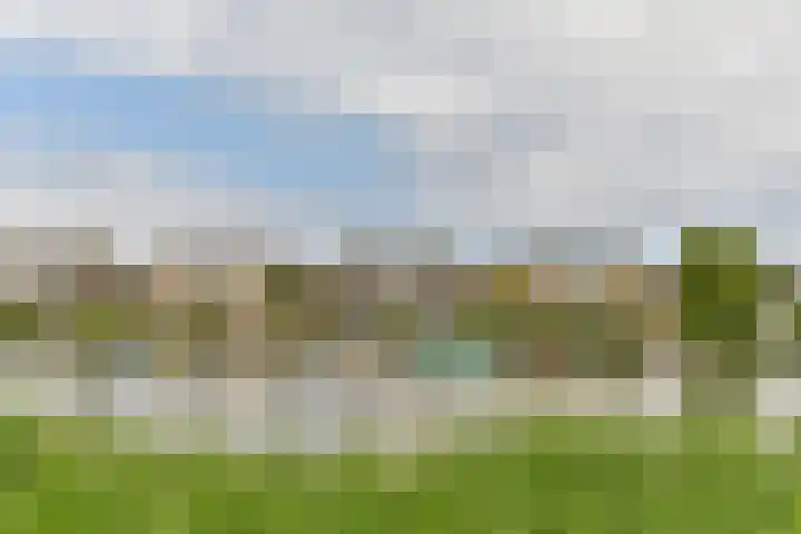 Vechtoever 7 Vreeland thumbnail 30