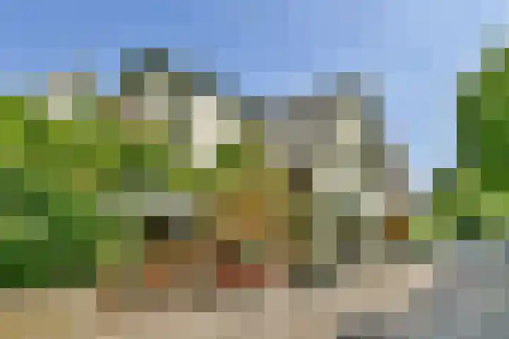 Vechtoever 7 Vreeland thumbnail 31