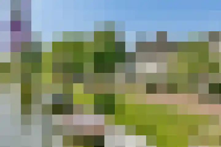 Vechtoever 7 Vreeland thumbnail 32