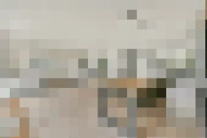 Vechtoever 7 Vreeland thumbnail 6