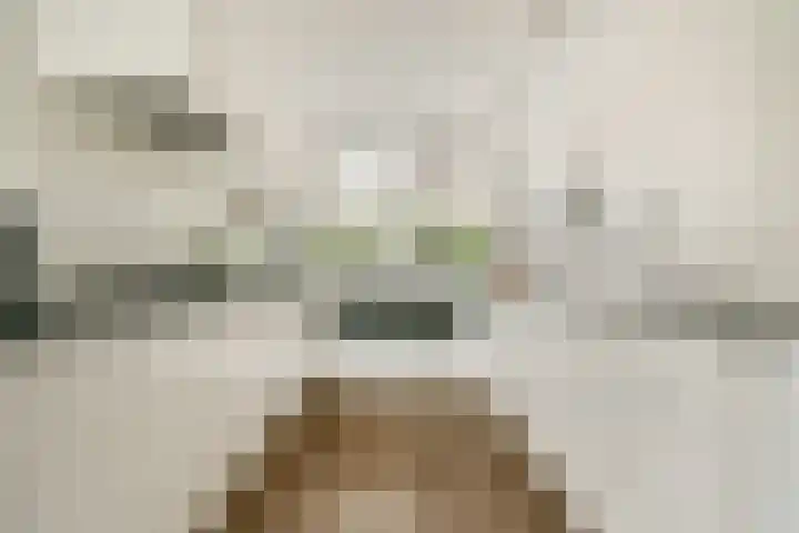Vechtoever 7 Vreeland thumbnail 7