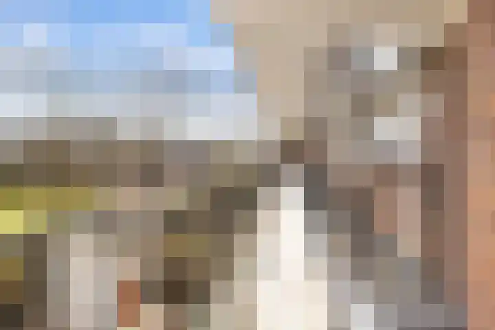 Vechtplantsoen 14 1 Utrecht thumbnail 26