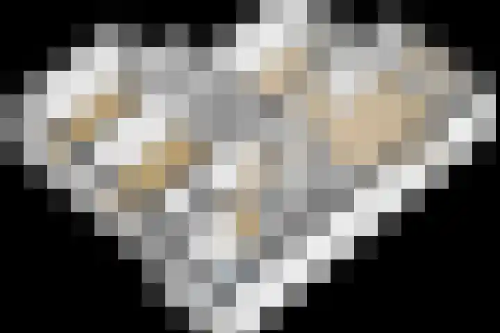 Vechtplantsoen 14 1 Utrecht thumbnail 32