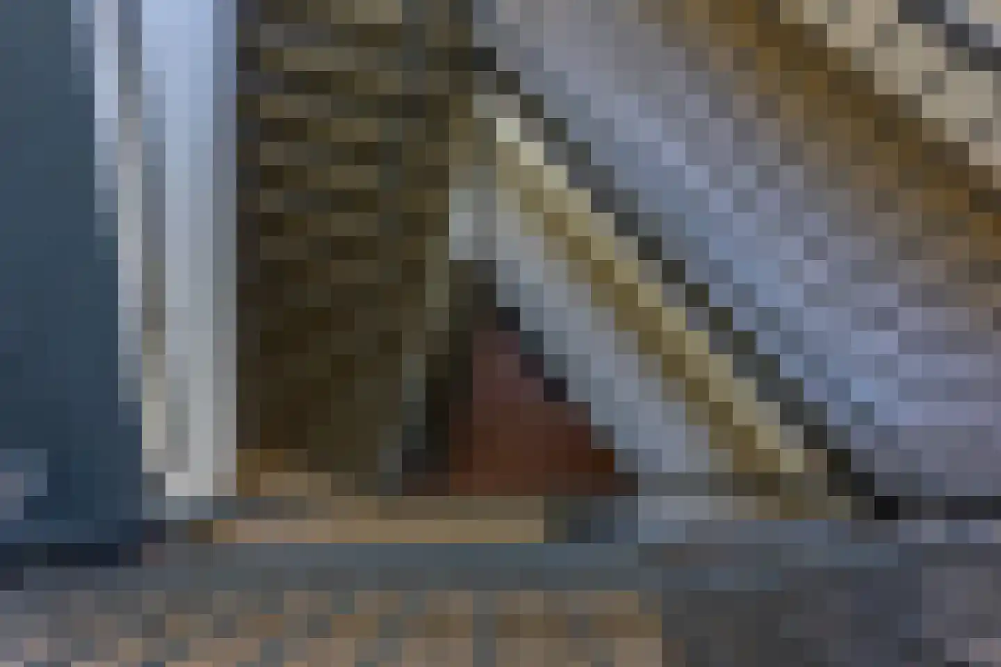 Vechtplantsoen 14 2 Utrecht thumbnail 40