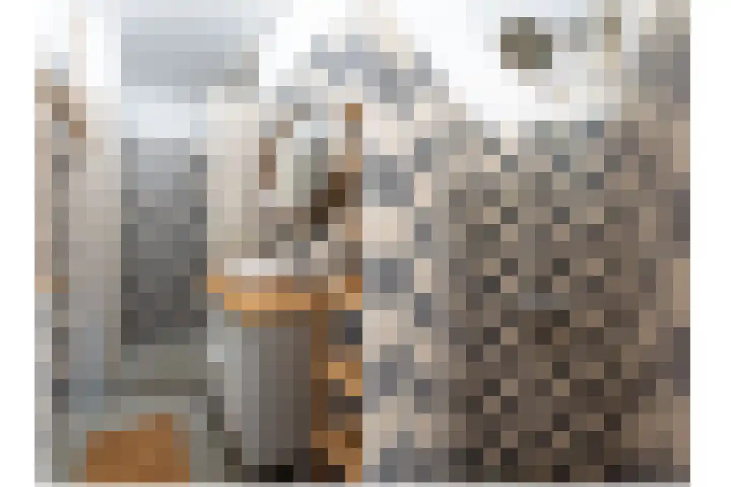 Vechtplantsoen 18 1 Utrecht thumbnail 25