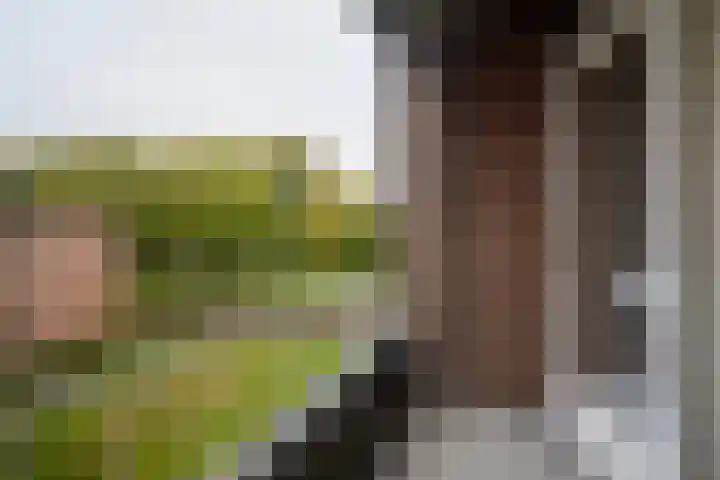 Vechtplantsoen 18 3 Utrecht thumbnail 17