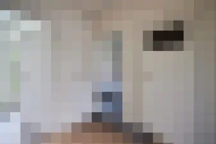 Vechtplantsoen 18 3 Utrecht thumbnail 20