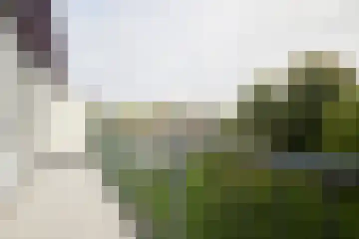 Vechtplantsoen 18 3 Utrecht thumbnail 33