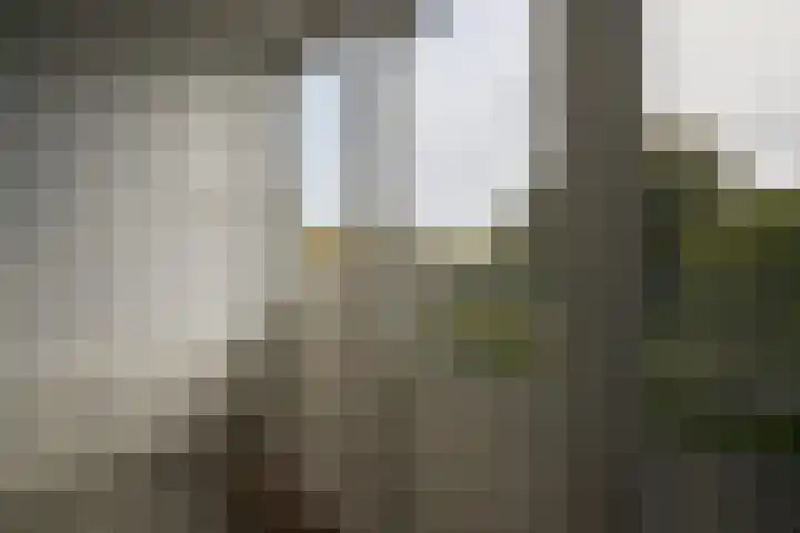 Vechtplantsoen 18 3 Utrecht thumbnail 39