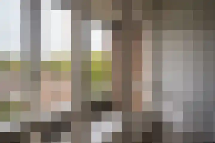 Vechtplantsoen 18 3 Utrecht thumbnail 48
