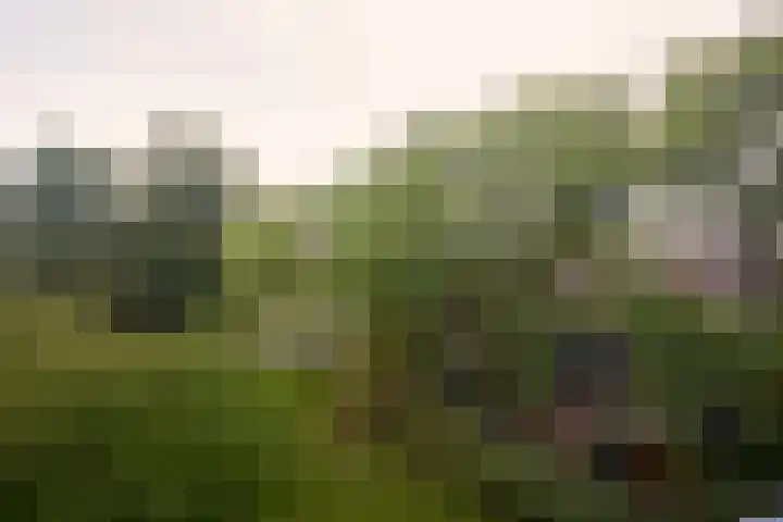 Vechtplantsoen 18 3 Utrecht thumbnail 5