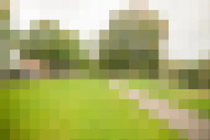 Vechtplantsoen 18 3 Utrecht thumbnail 50