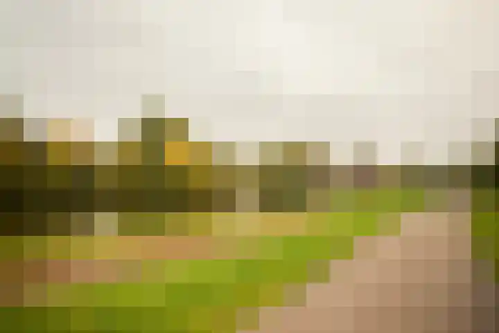 Vechtplantsoen 18 3 Utrecht thumbnail 51